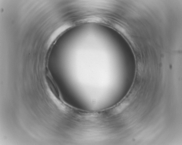 X0000088151426200705291411