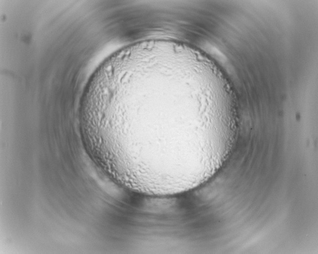 X0000088151427200705291411