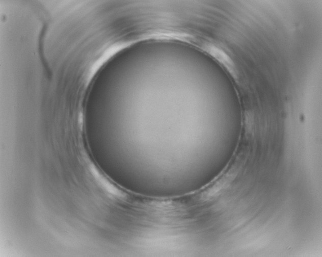 X0000088151428200705291411