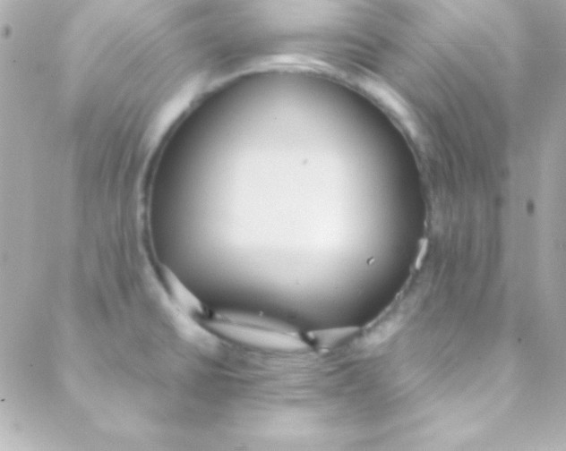 X0000088151430200705291411