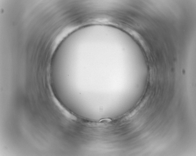 X0000088151432200705291411