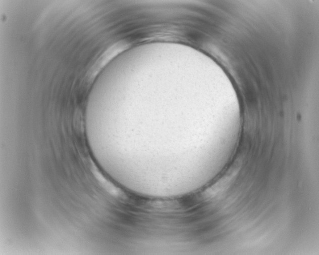 X0000088151433200705291411