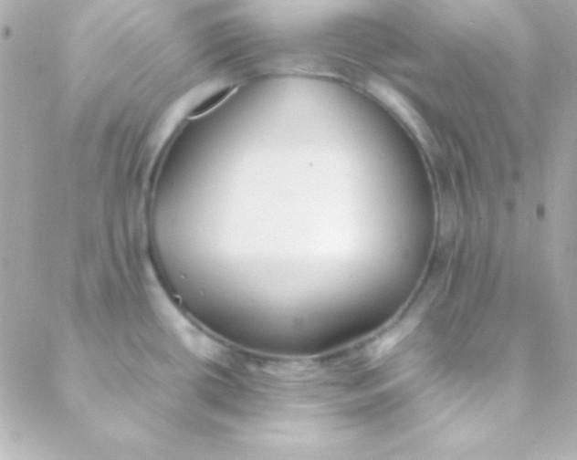 X0000088151434200705291411