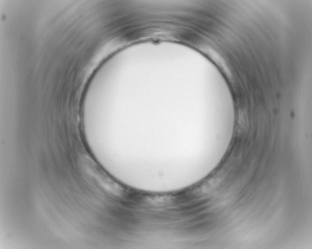 X0000088151435200705291412