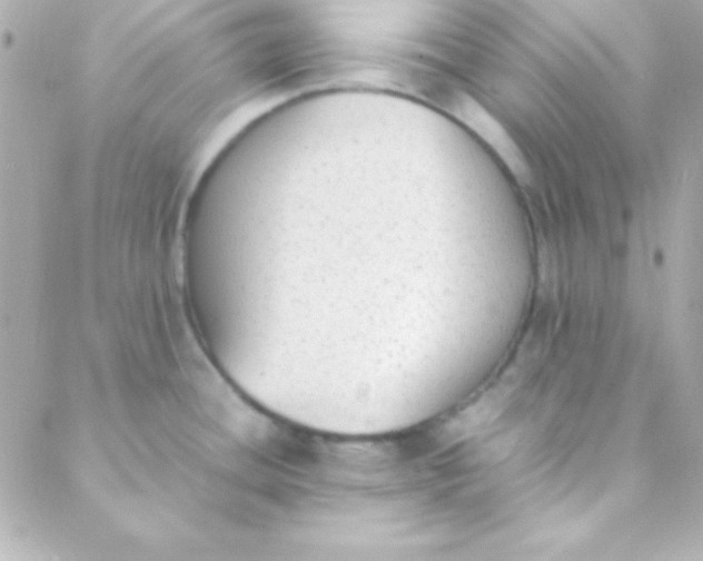 X0000088151436200705291412