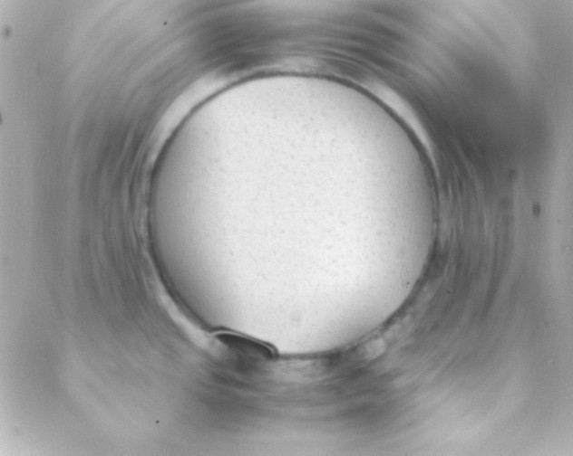 X0000088151437200705291412