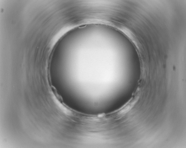 X0000088151438200705291412