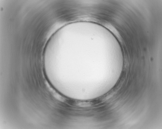 X0000088151439200705291412