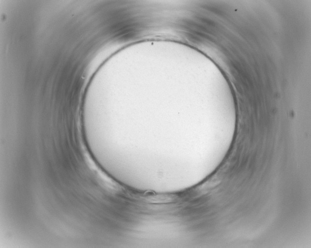 X0000088151440200705291412