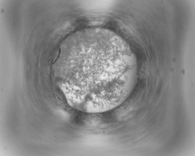 X0000088151441200705291411