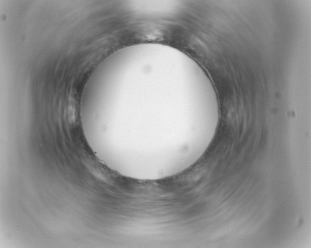 X0000088151442200705291411