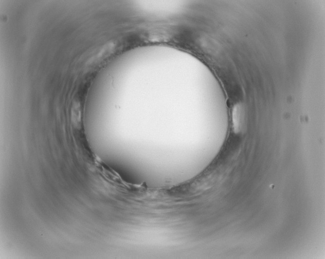 X0000088151443200705291411