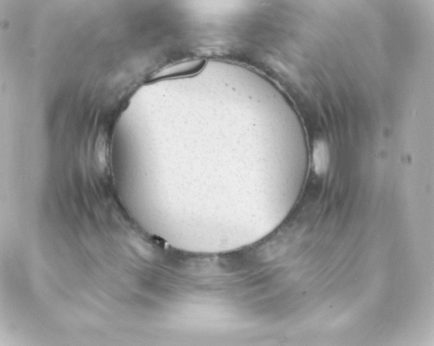 X0000088151444200705291411