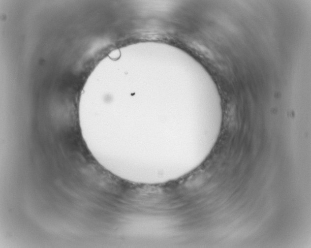 X0000088151446200705291411