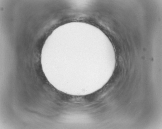 X0000088151447200705291411