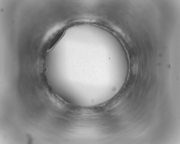 X0000088151448200705291411