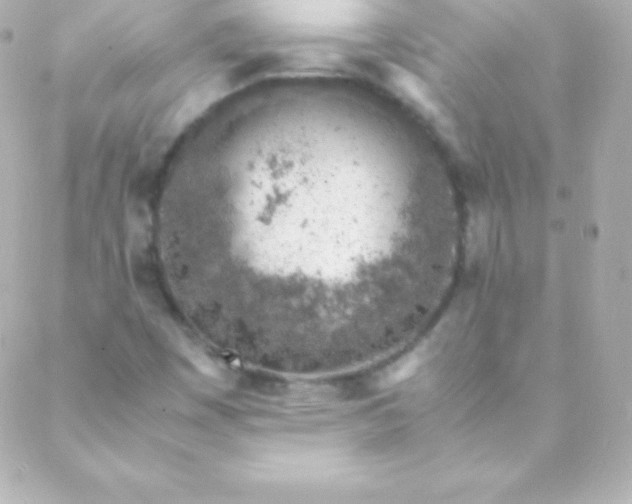 X0000088151449200705291411