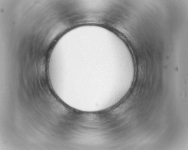 X0000088151450200705291411