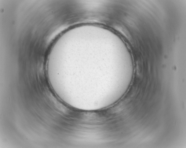 X0000088151452200705291411