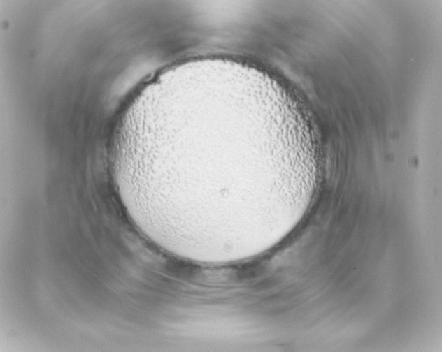 X0000088151453200705291411