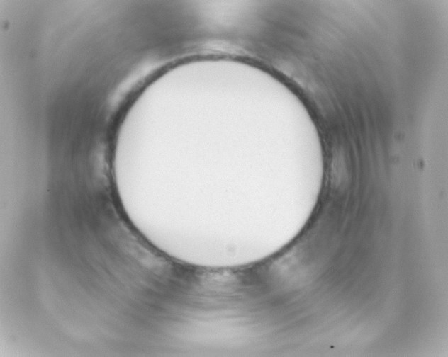 X0000088151454200705291411