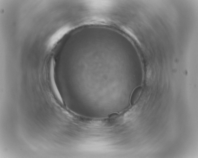 X0000088151455200705291411