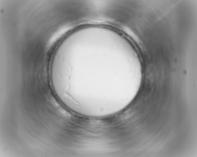 X0000088151456200705291411