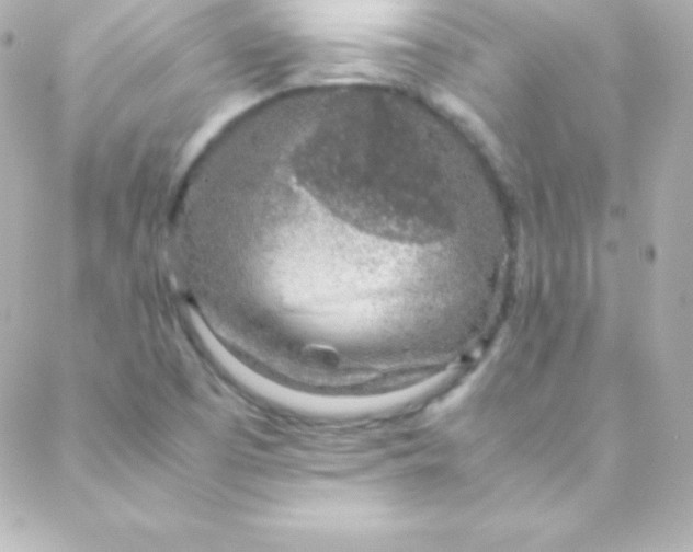 X0000088151457200705291411