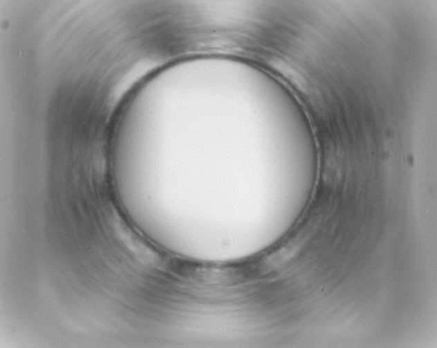 X0000088151458200705291411