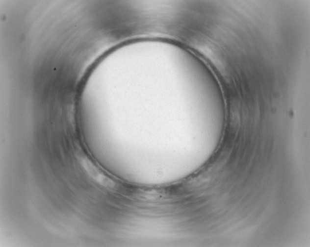 X0000088151460200705291411