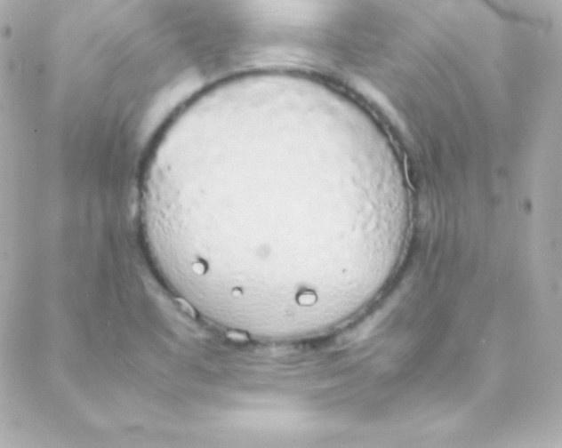 X0000088151461200705291410