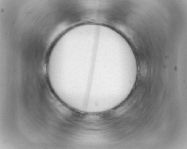 X0000088151462200705291410