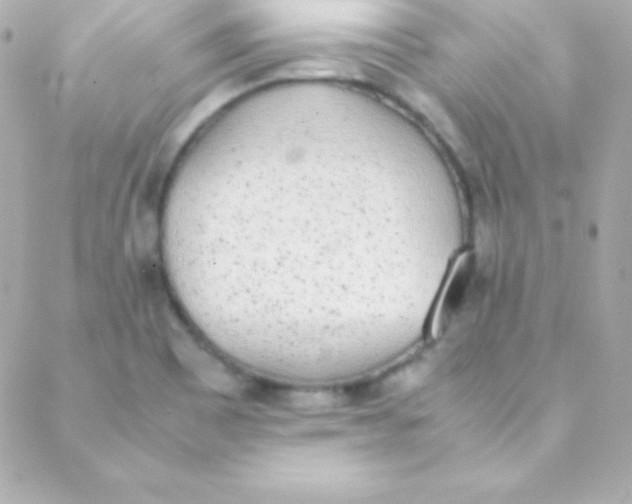 X0000088151465200705291410