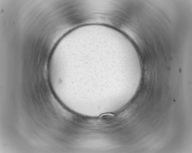 X0000088151468200705291410