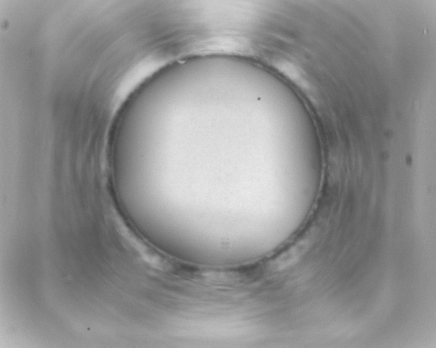 X0000088151469200705291410