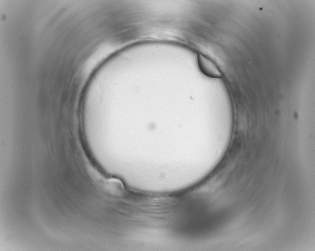 X0000088151471200705291410