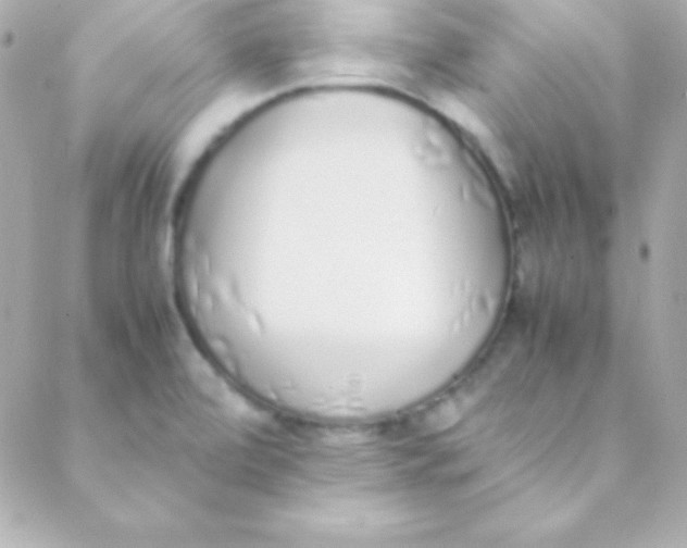 X0000088151472200705291410