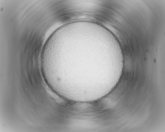 X0000088151474200705291410