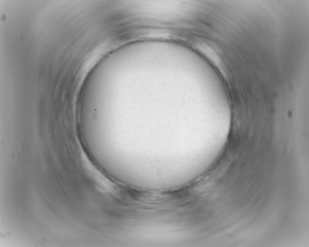 X0000088151475200705291410