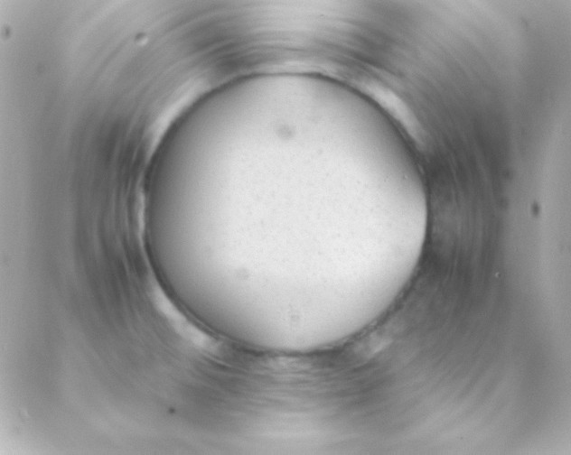 X0000088151476200705291410