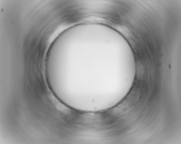 X0000088151478200705291410