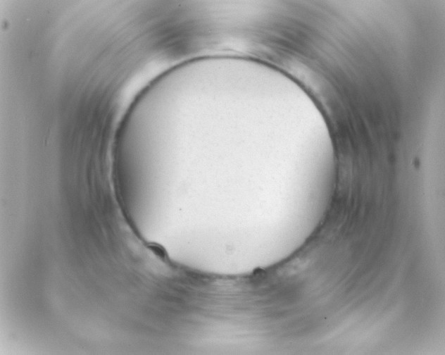 X0000088151480200705291410