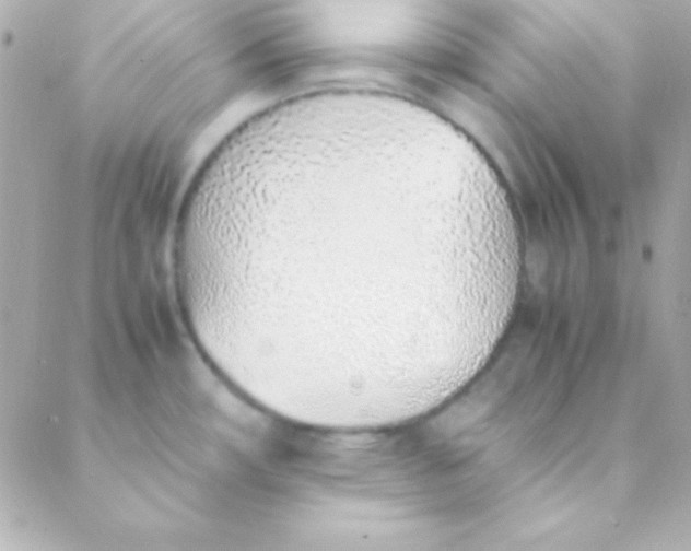 X0000088151482200705291410