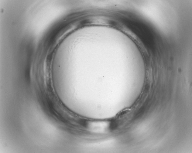 X0000088151487200705291410