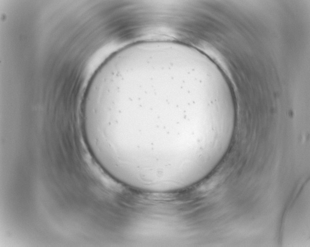 X0000088151488200705291410