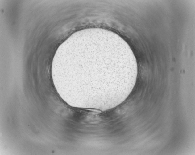 X0000088151489200705291409