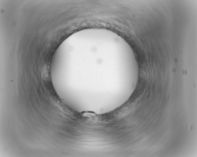 X0000088151490200705291409