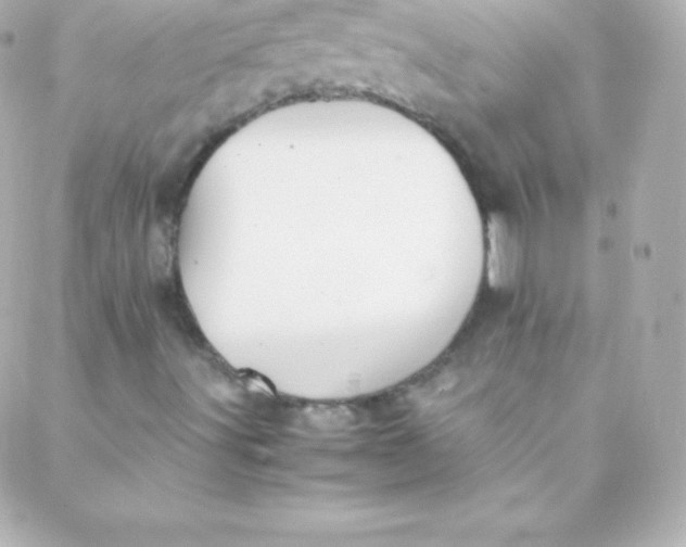 X0000088151491200705291409