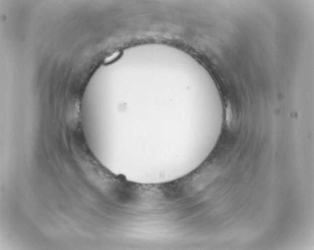 X0000088151492200705291409