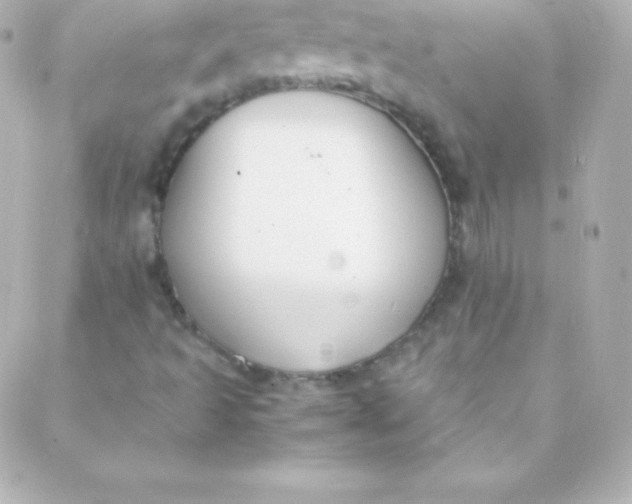 X0000088151493200705291409